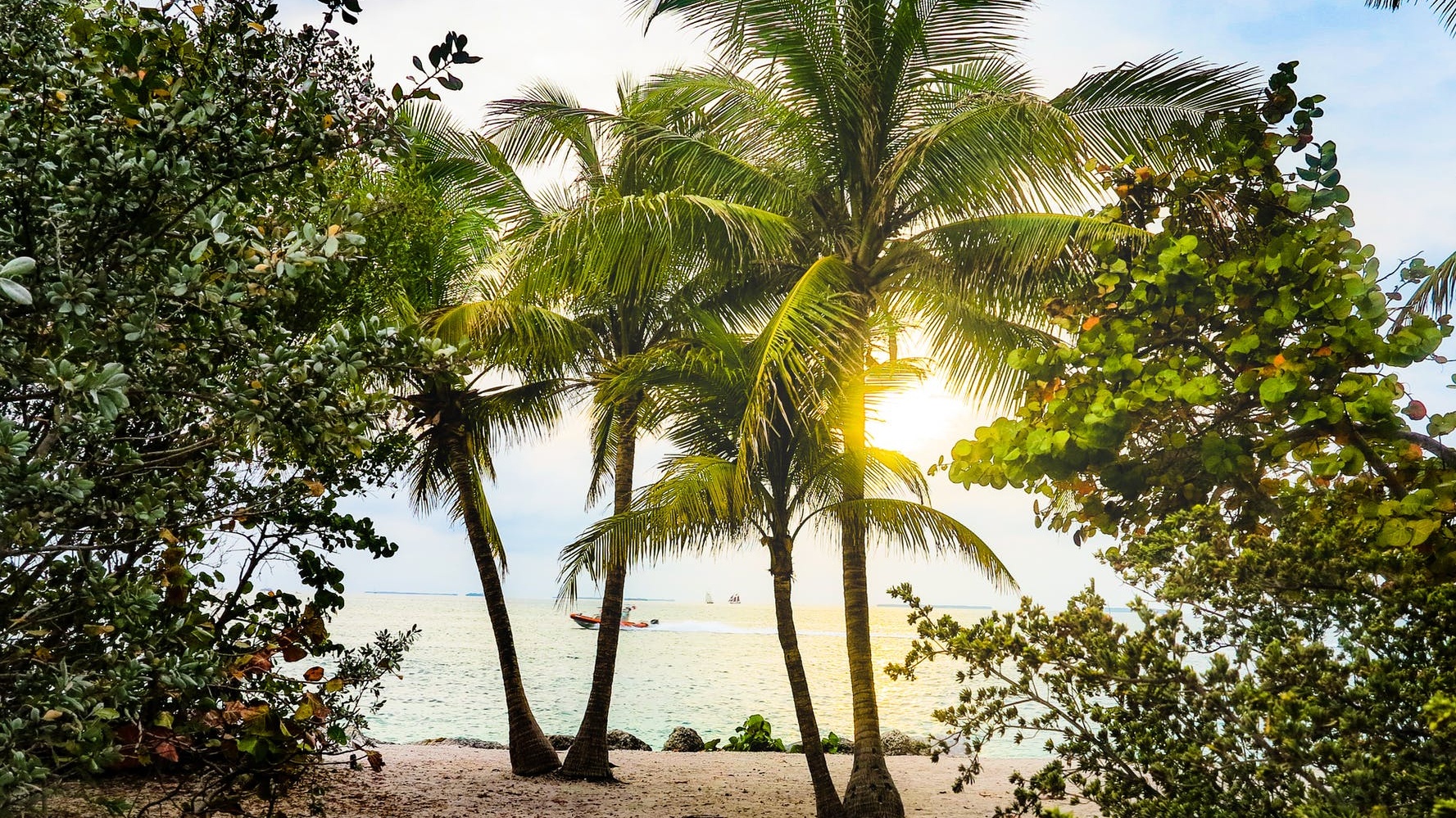 Coconut Grove in Miami